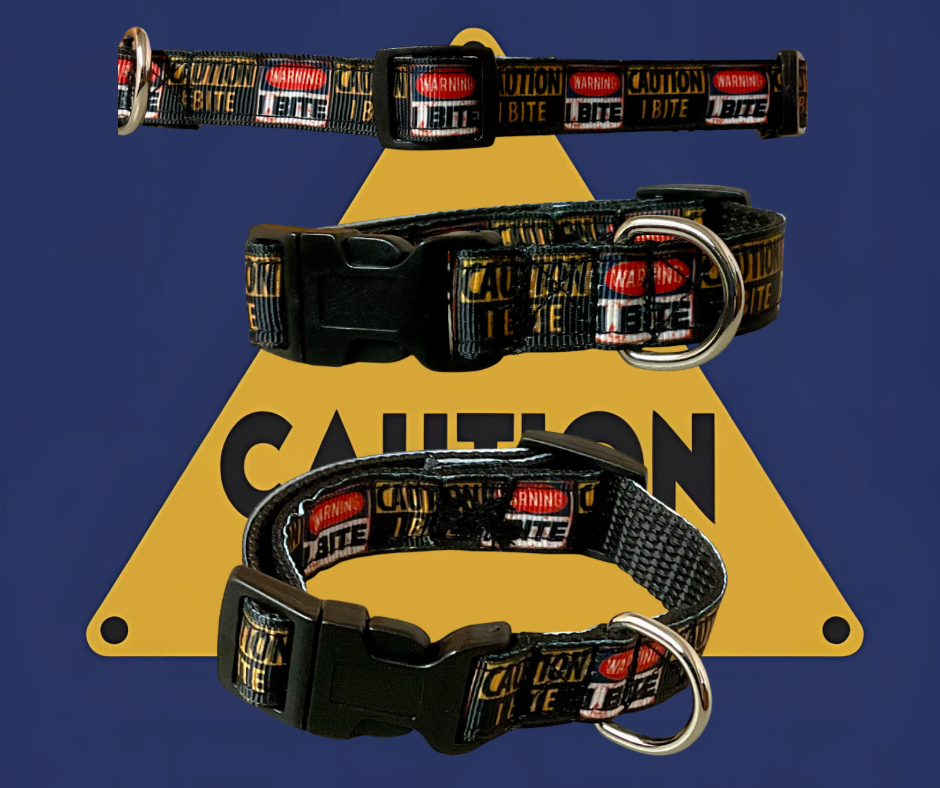 Little dog 5/8”or 3/4” Dog collar, harness, leash, 5/8” cat collar I bite