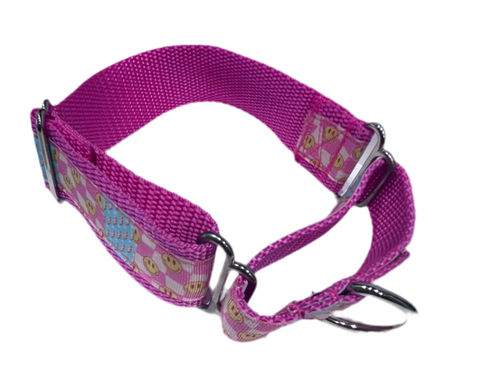 1 1/2" One and one half inch Adjustable Side release buckle OR Martingale Dog Collar (1)