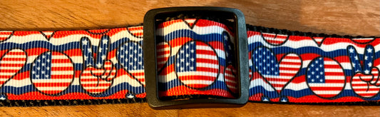 One inch Adjustable Dog Collar / Buckle or Martingale (15)