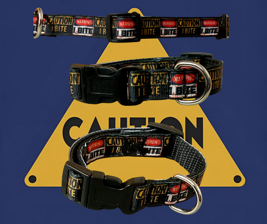 Little dog 5/8”or 3/4” Dog collar, harness, leash, 5/8” cat collar I bite