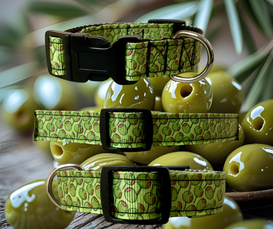 Little dog 5/8”or 3/4” Dog collar, harness, leash, 5/8” cat collar olive